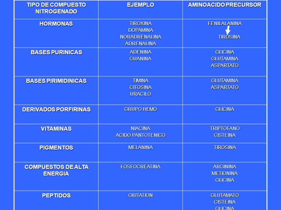 Compuestos nitrogenados amino acidos para adelgazar